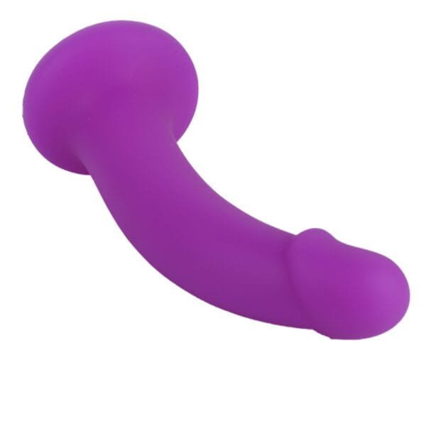 DS J228 Rainbow Dildo5