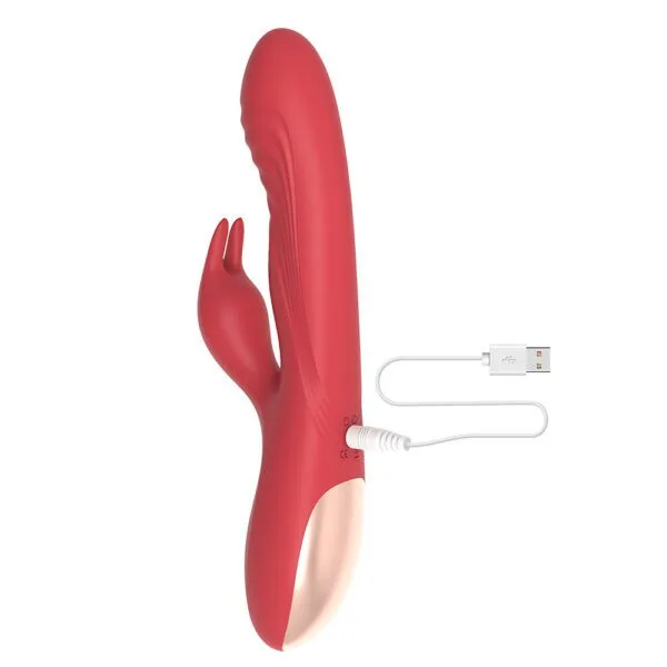 DS J229 Rabbit Vibrator13