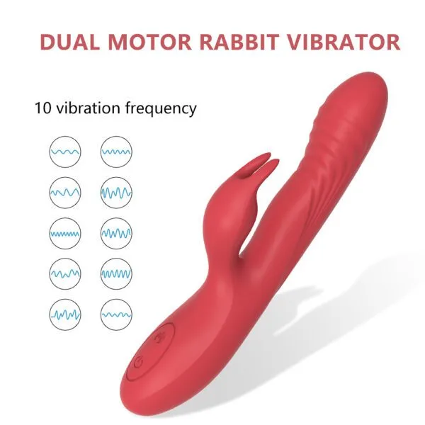 DS J229 Rabbit Vibrator7